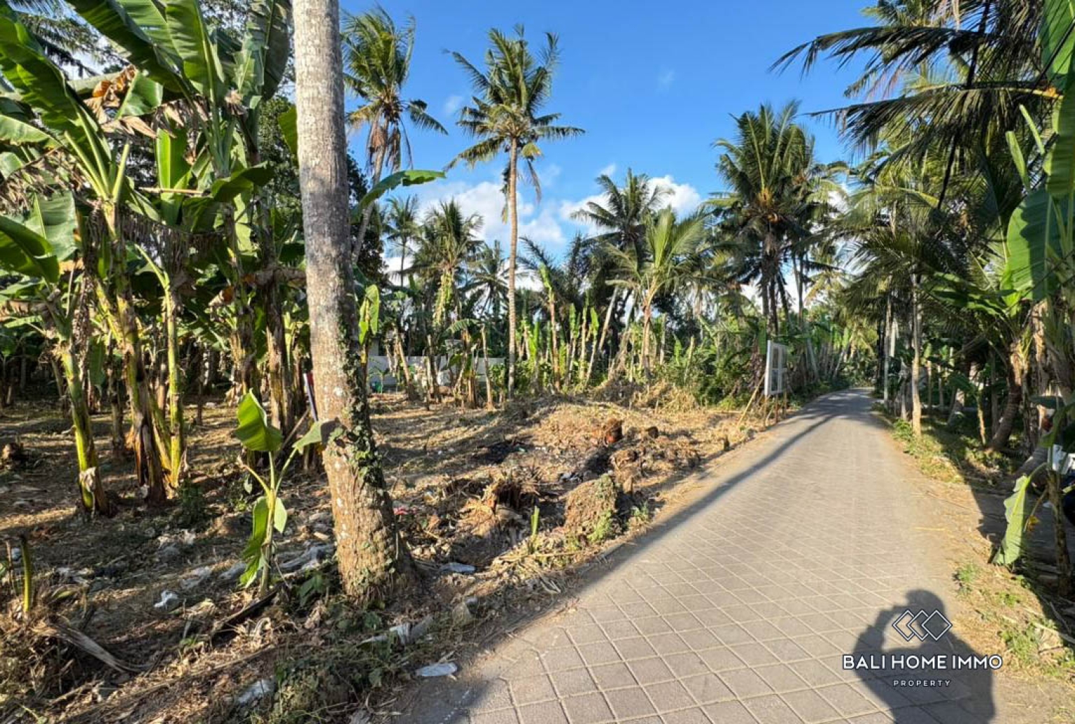 Tanah seluas 600 m² dijual dekat Green School view 6