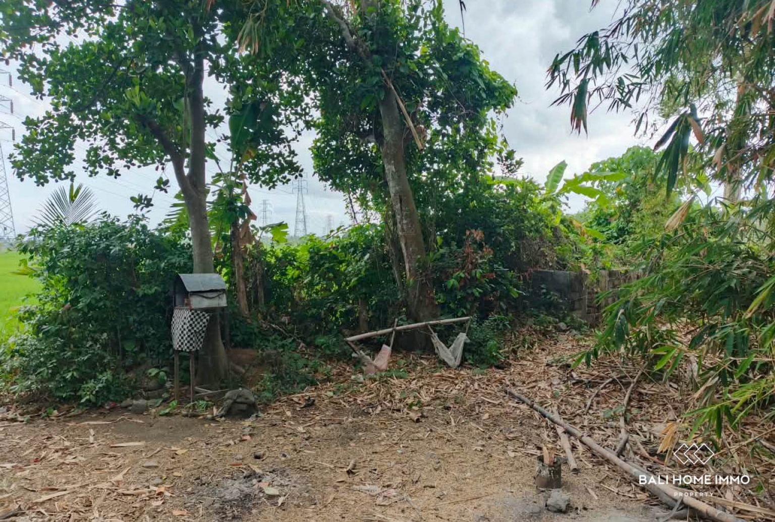 Tanah seluas 600 m² berpemandangan sawah dijual di Kedungu, Bali. view 3