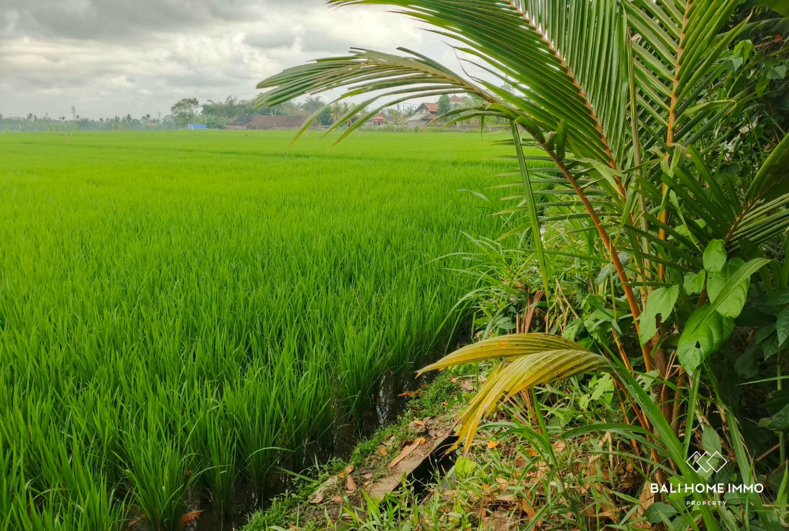 Tanah seluas 600 m² berpemandangan sawah dijual di Kedungu, Bali. view 2