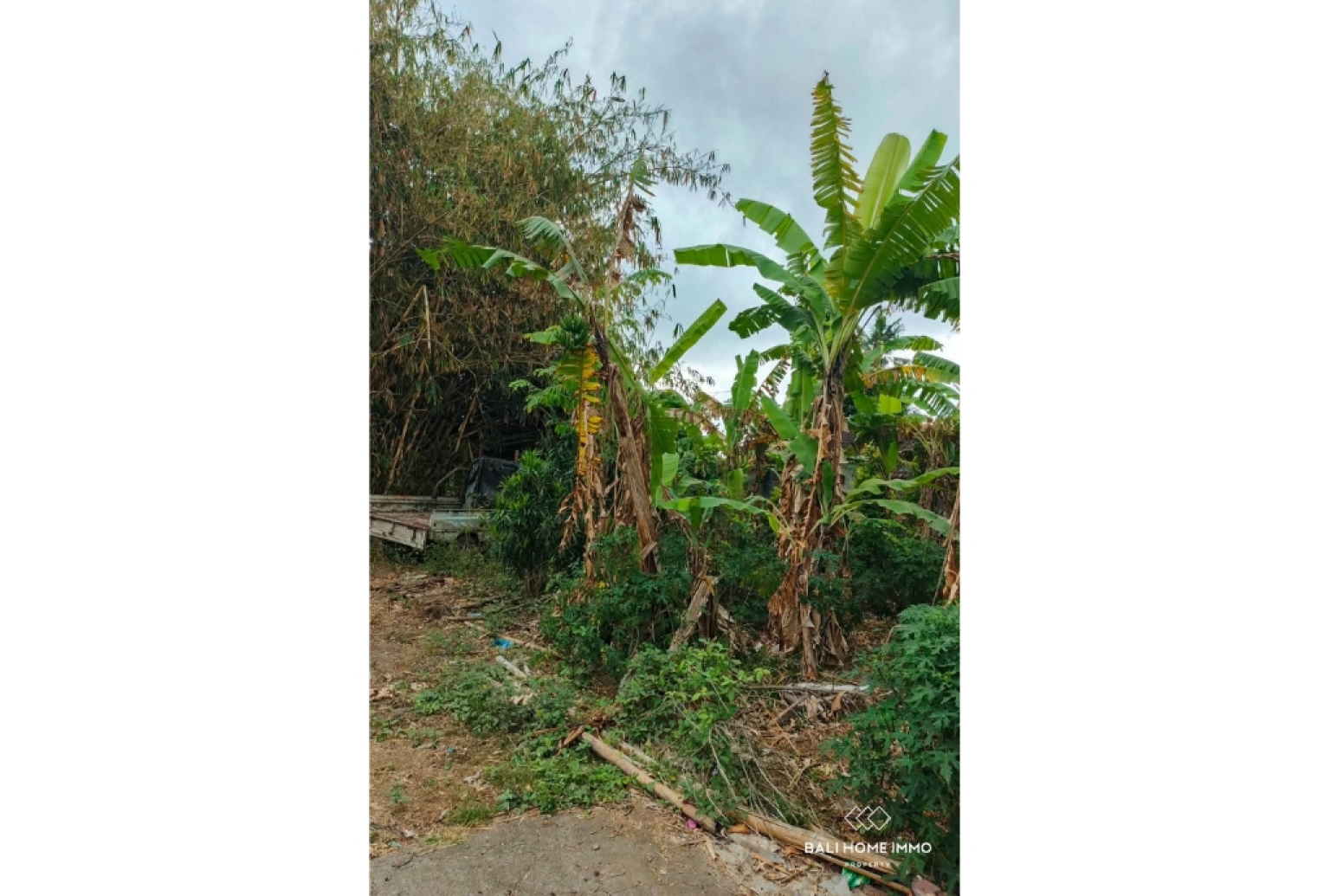 Tanah seluas 600 m² berpemandangan sawah dijual di Kedungu, Bali. view 5