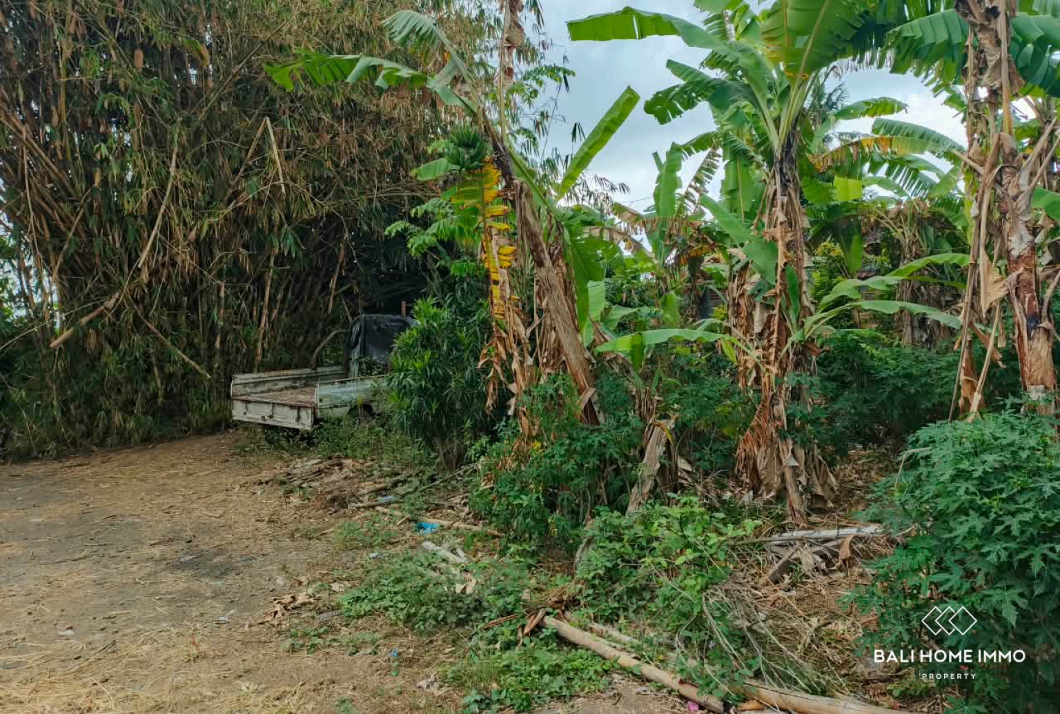 Tanah seluas 600 m² berpemandangan sawah dijual di Kedungu, Bali. view 4