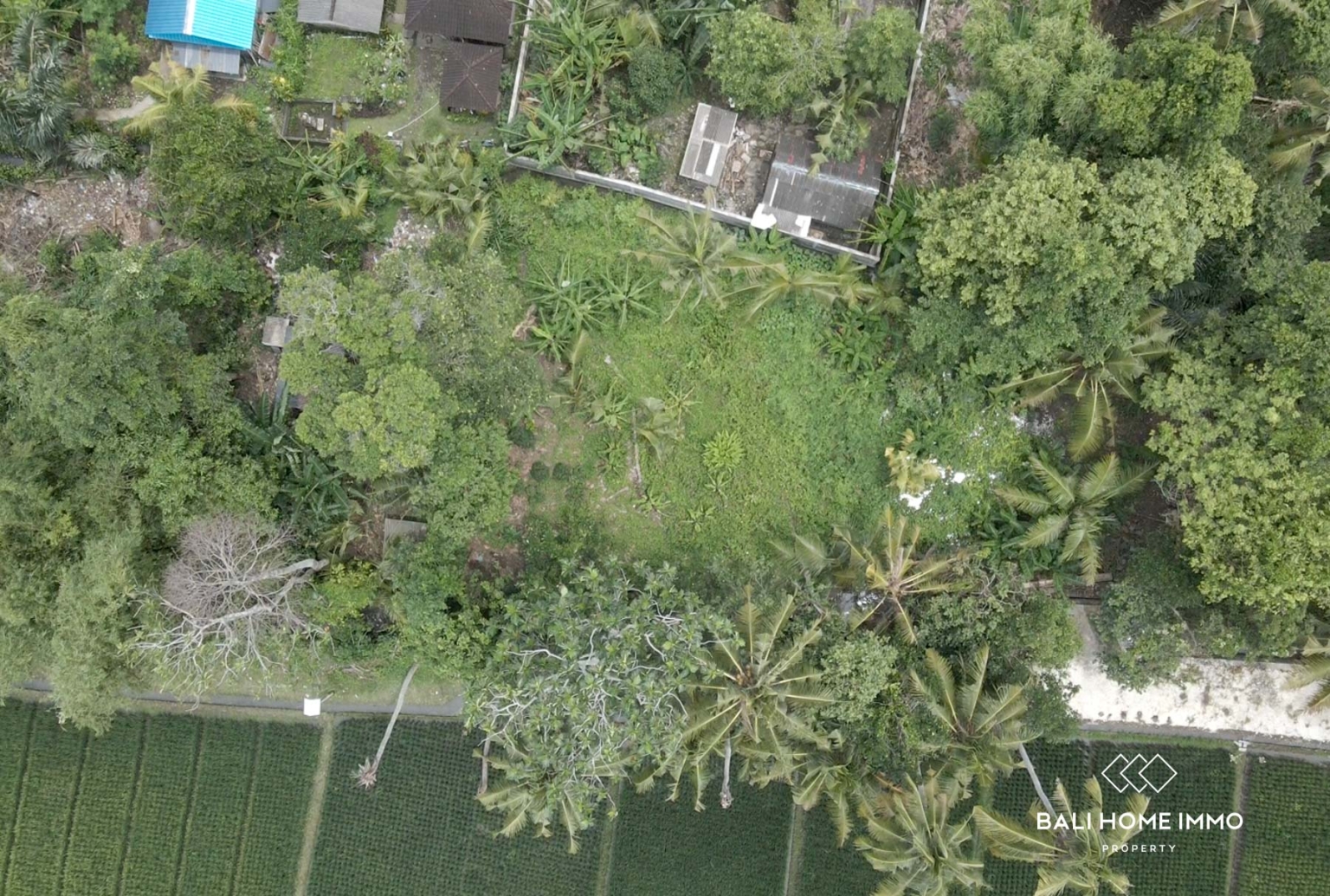 720 m² Land With Greenzone View for Leasehold Sale in Kedungu Tabanan Bali view 2