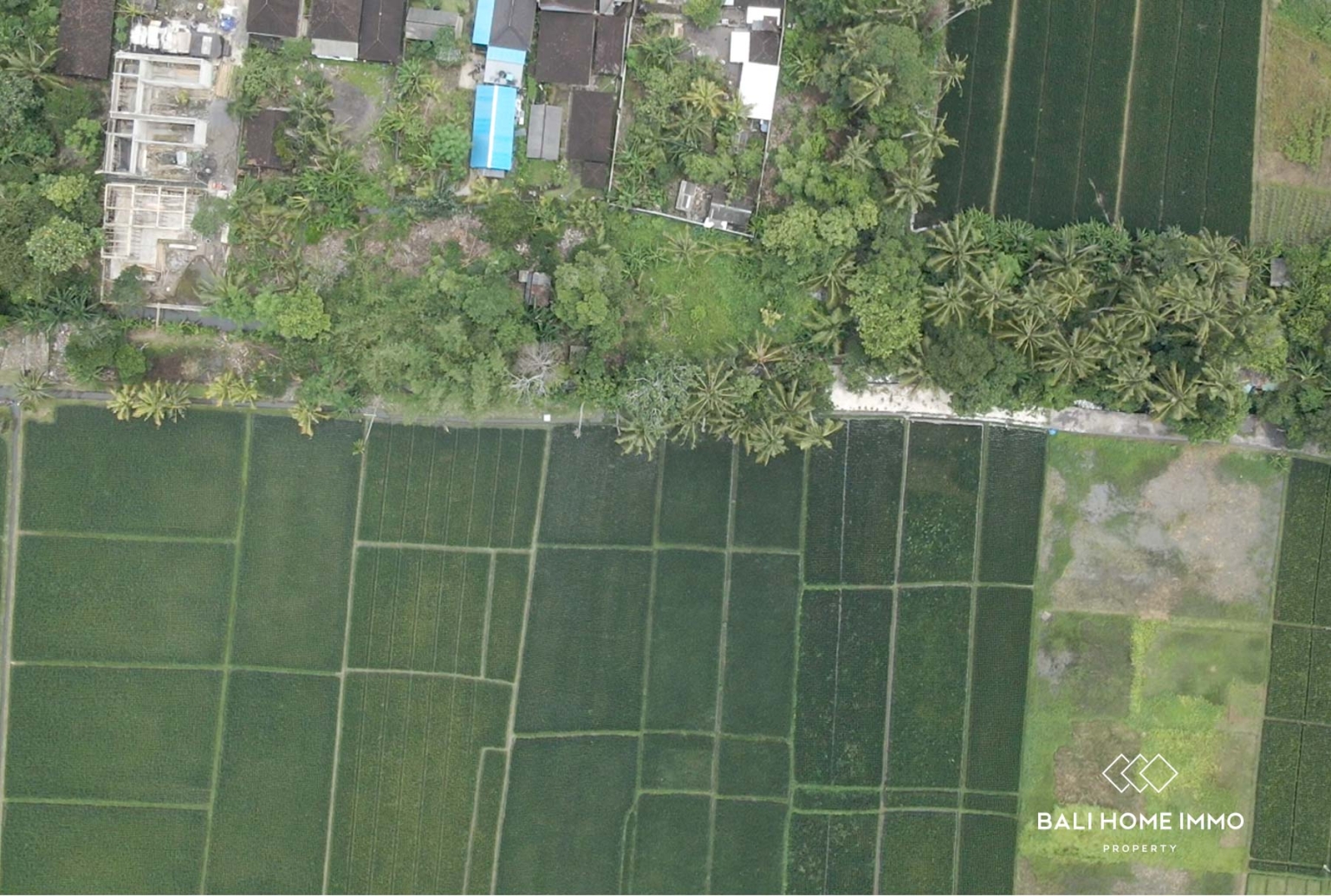 720 m² Land With Greenzone View for Leasehold Sale in Kedungu Tabanan Bali view 3