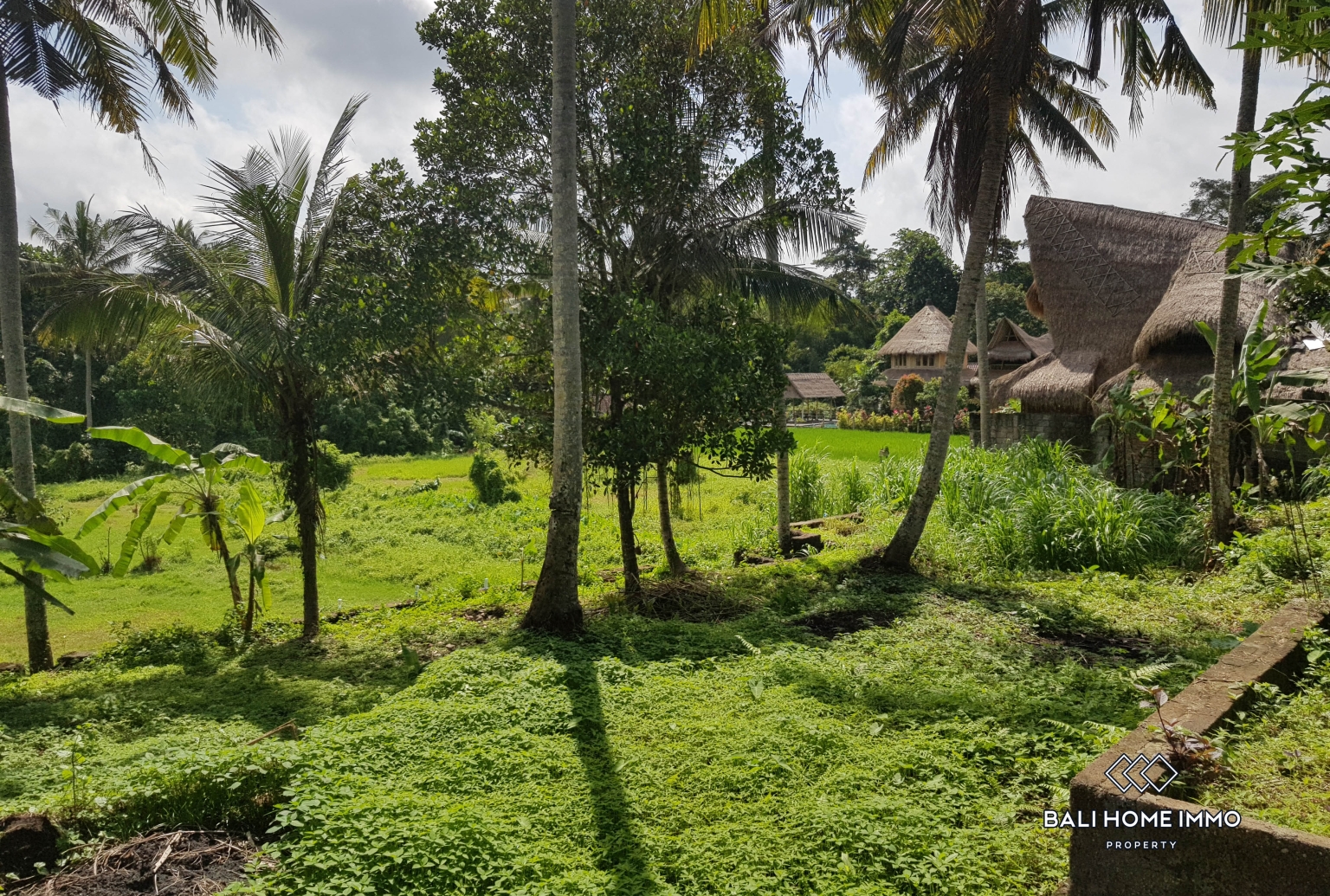8,4 ARE PINK ZONE LAND FOR SALE IN PENESTANAN UBUD view 5