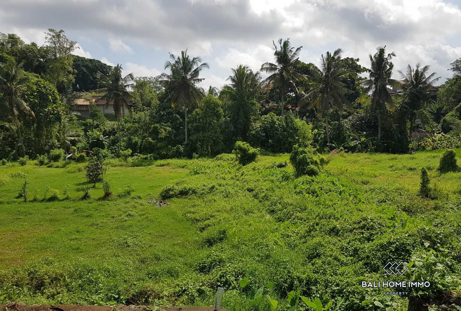 8,4 ARE PINK ZONE LAND FOR SALE IN PENESTANAN UBUD view 4
