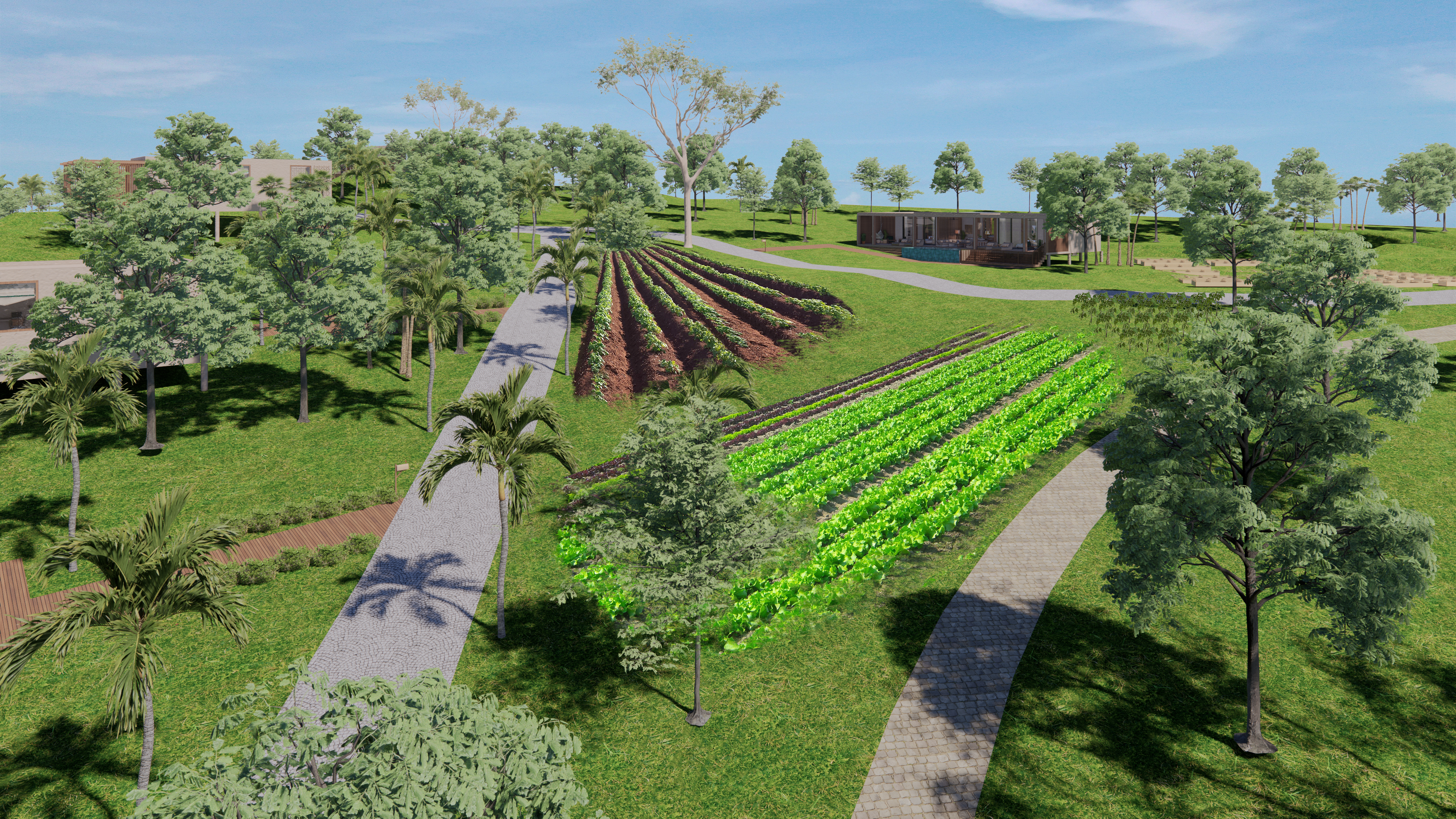 Vegetable Garden