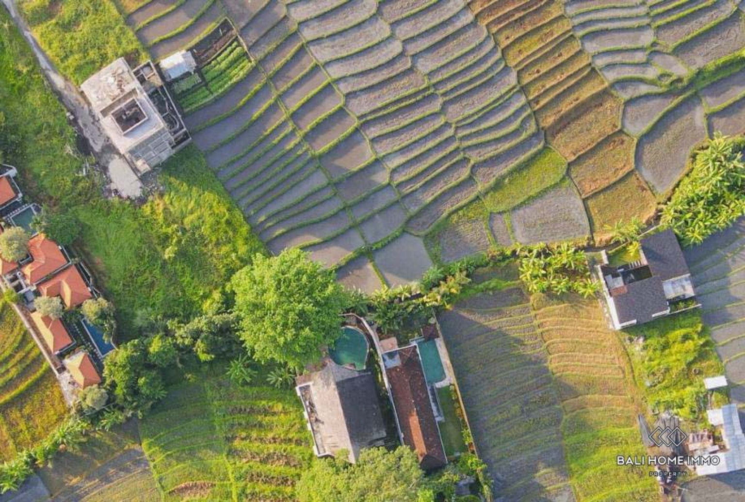 Antique 3-Bedroom Villa Surrounded by Rice Fields for Yearly rental in Bali Cemagi Beach view 29
