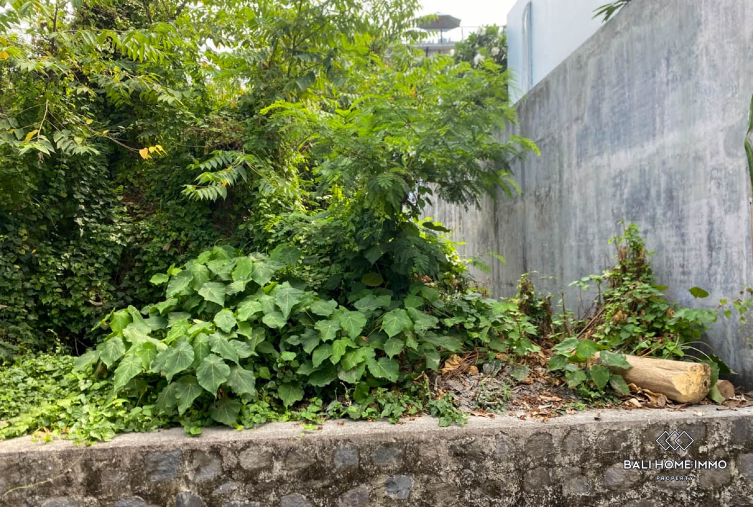 Attractive Land for Sale Freehold in Canggu Batu Bolong view 2