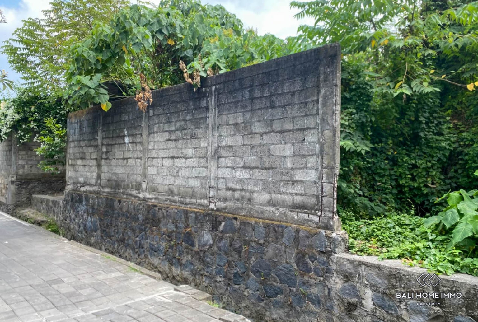 Attractive Land for Sale Freehold in Canggu Batu Bolong view 3