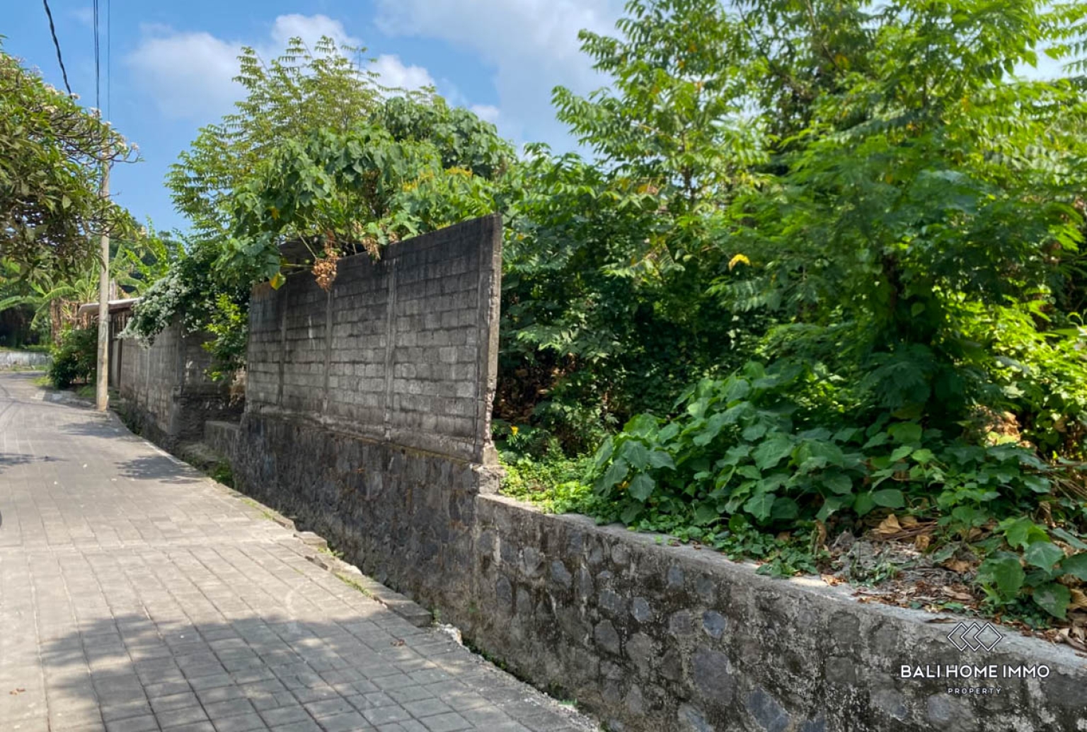 Attractive Land for Sale Freehold in Canggu Batu Bolong view 4