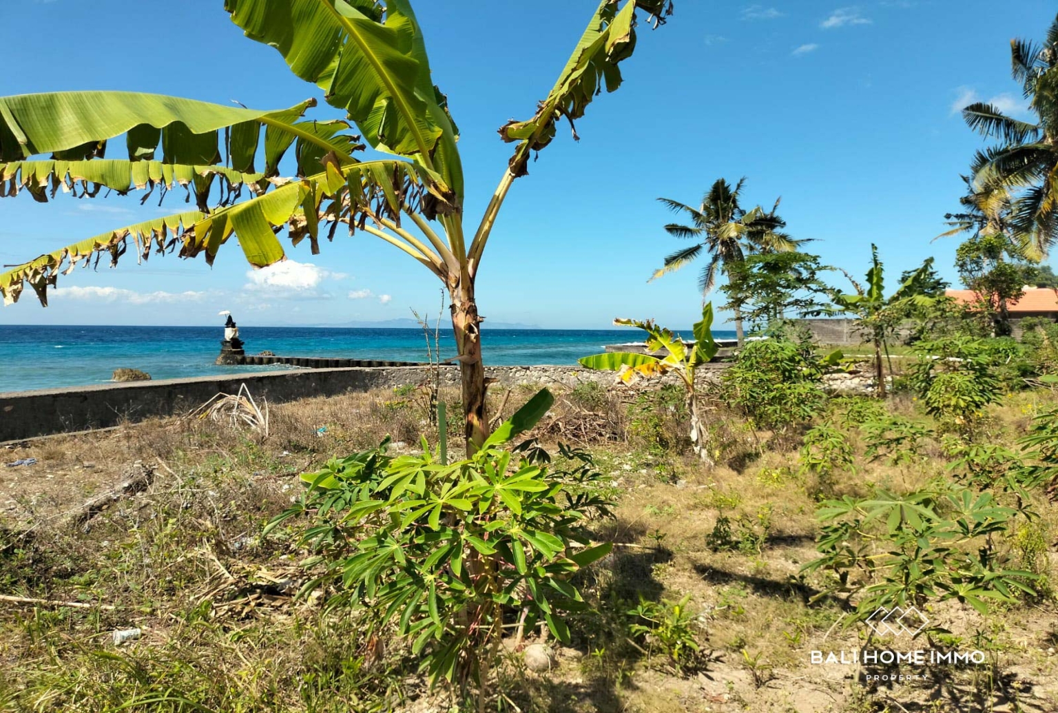 BEACH FRONT 2 PLOT 1880 m² LAND FOR LEASEHOLD SALE in NUSA PENIDA BALI view 5