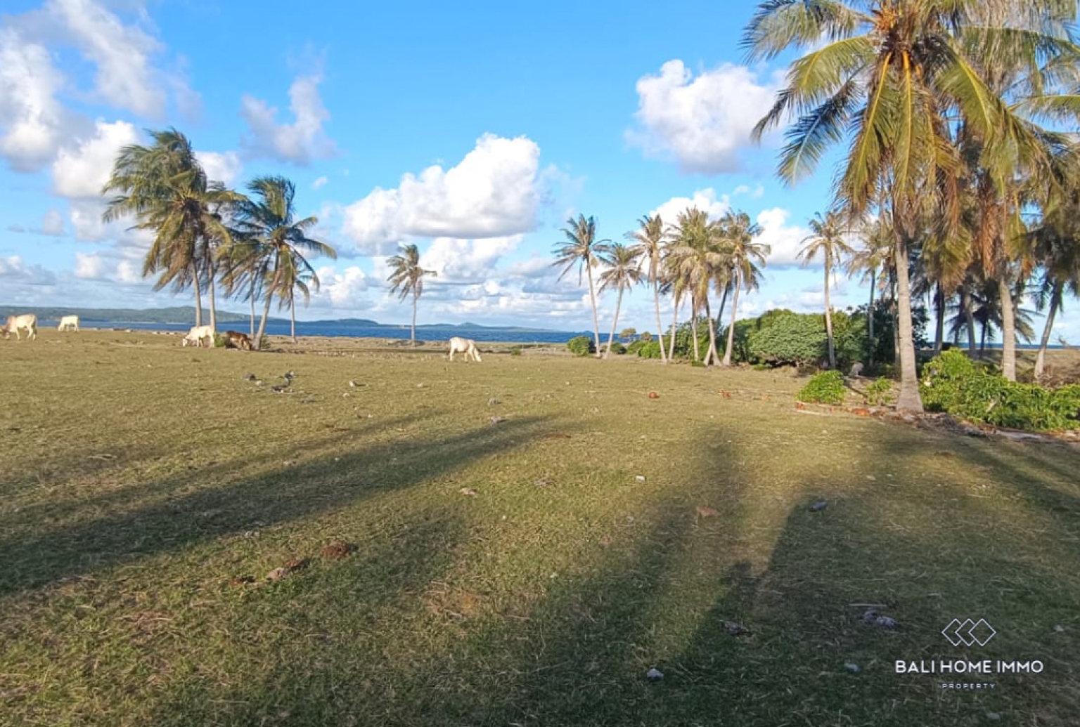 Beachfront Land for Sale Leasehold in Rote Island view 4