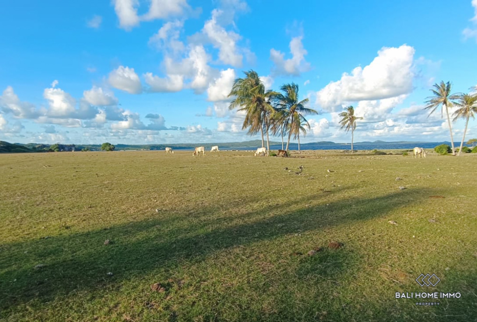 Beachfront Land for Sale Leasehold in Rote Island view 3