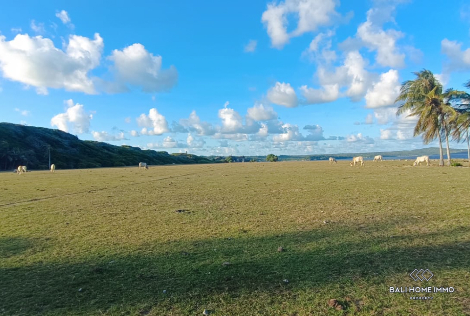 Beachfront Land for Sale Leasehold in Rote Island view 2