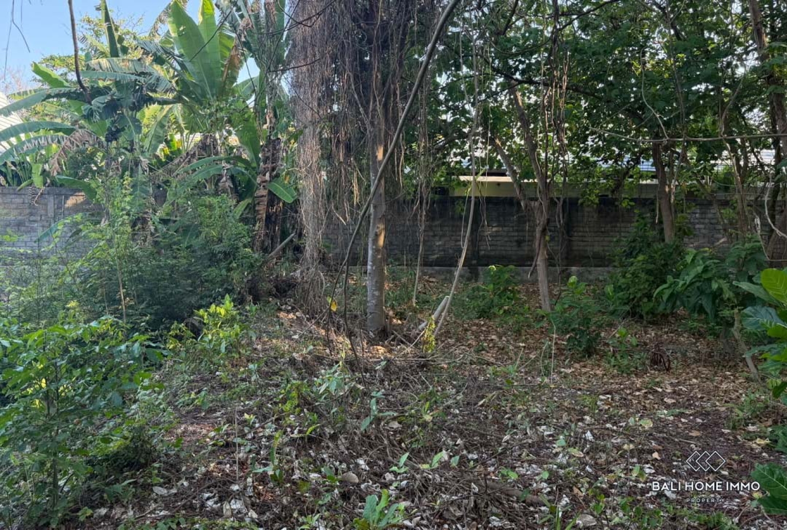 Beachside 15 Are Freehold Land in Pink Zone, Pabean Beach Bali view 4