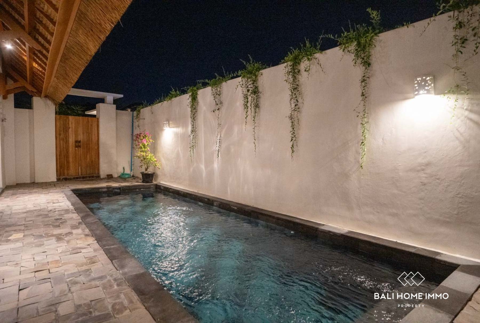Bohemian Style 2 Bedroom Villa for Sale and Rental in Seminyak Bali view 25