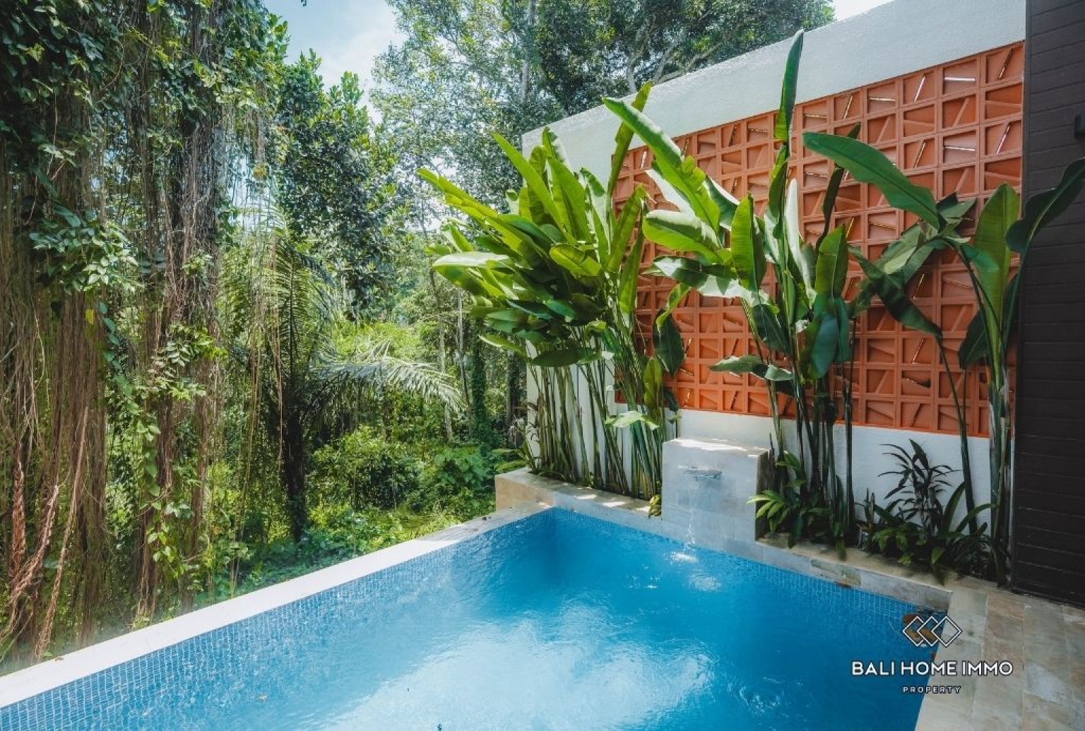 Brand New 1 bedroom Villa with jungle views For sale view 19