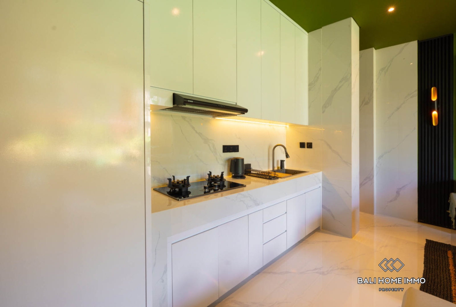 Brand New 1 Bedroom Villa with Ricefield view For Rent in Ubud view 8
