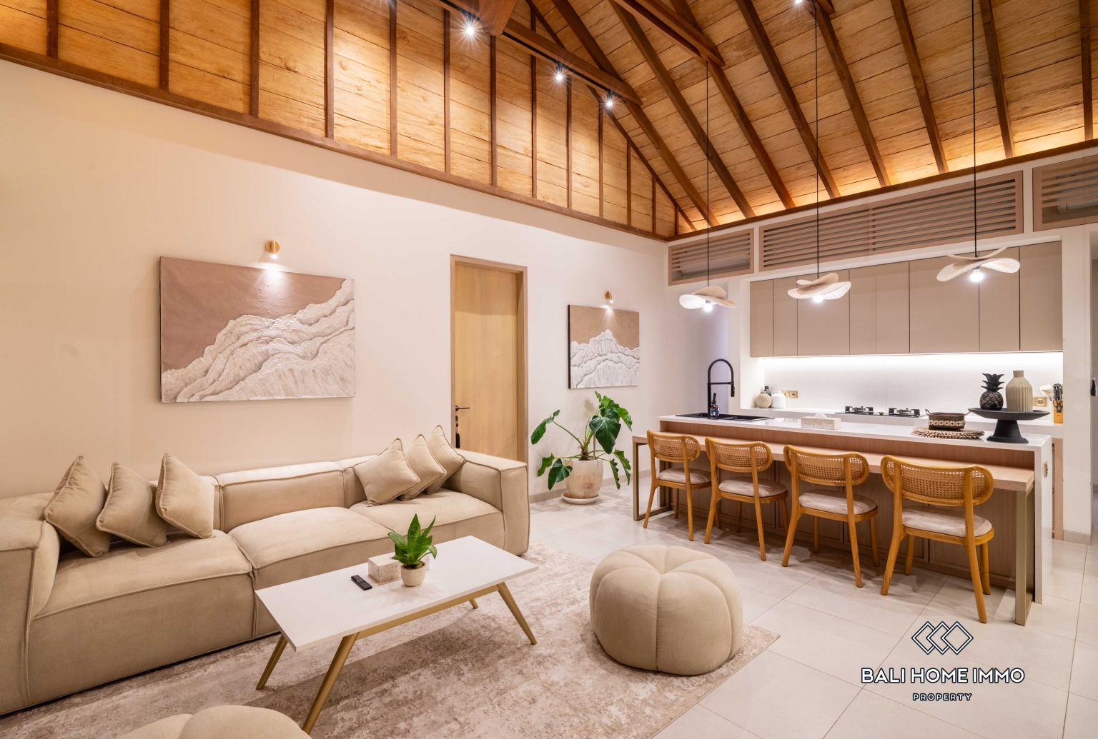 Brand new 2 Bedroom villa for sale and rent in Bali Canggu residential side view 12