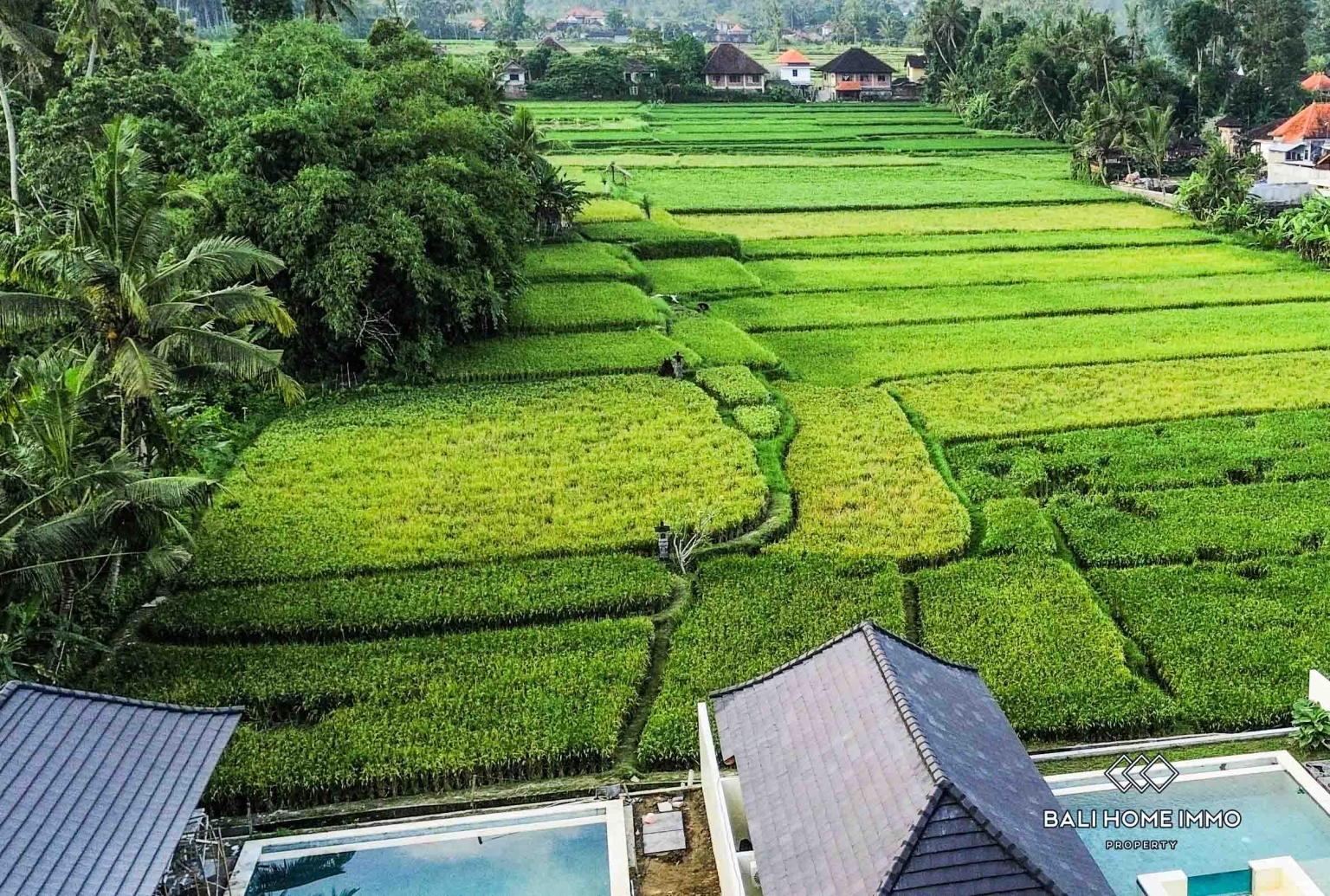 Villa neuve de 3 chambres à vendre et à louer à Ubud, Bali view 19