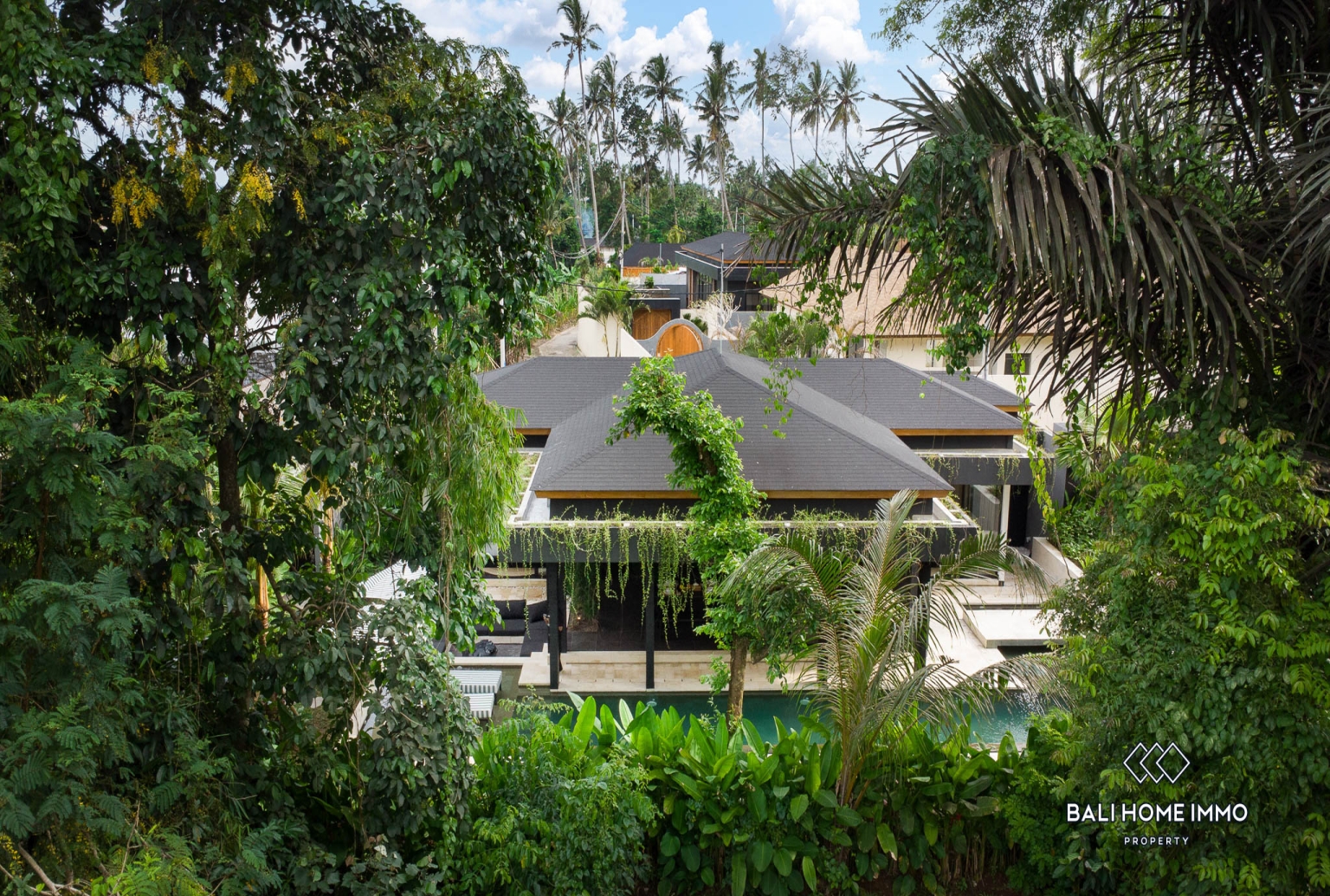 BRAND NEW 3 BEDROOMS VILLA WITH JUNGLE VIEWS FOR SALE AND RENT IN UBUD view 20