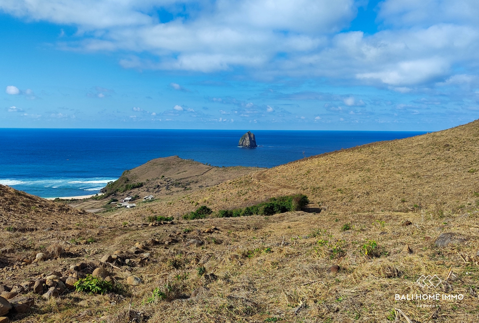 EXPANSIVE LAND FOR SALE IN LOMBOK view 4