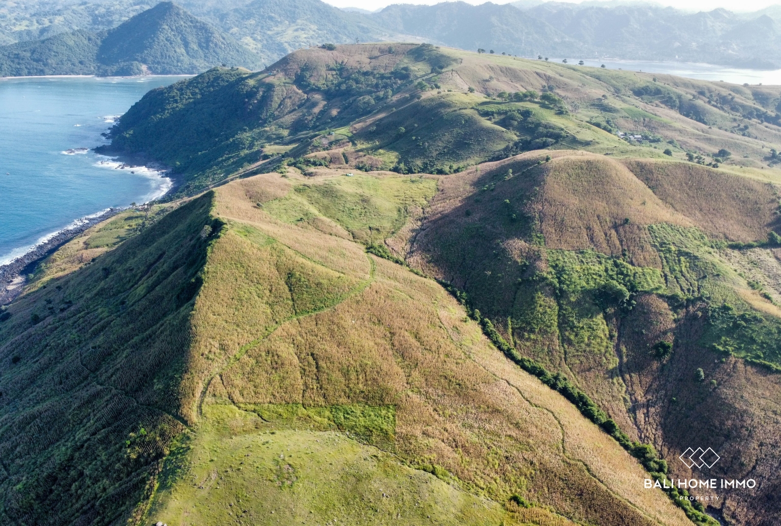 EXPANSIVE LAND FOR SALE IN LOMBOK view 8