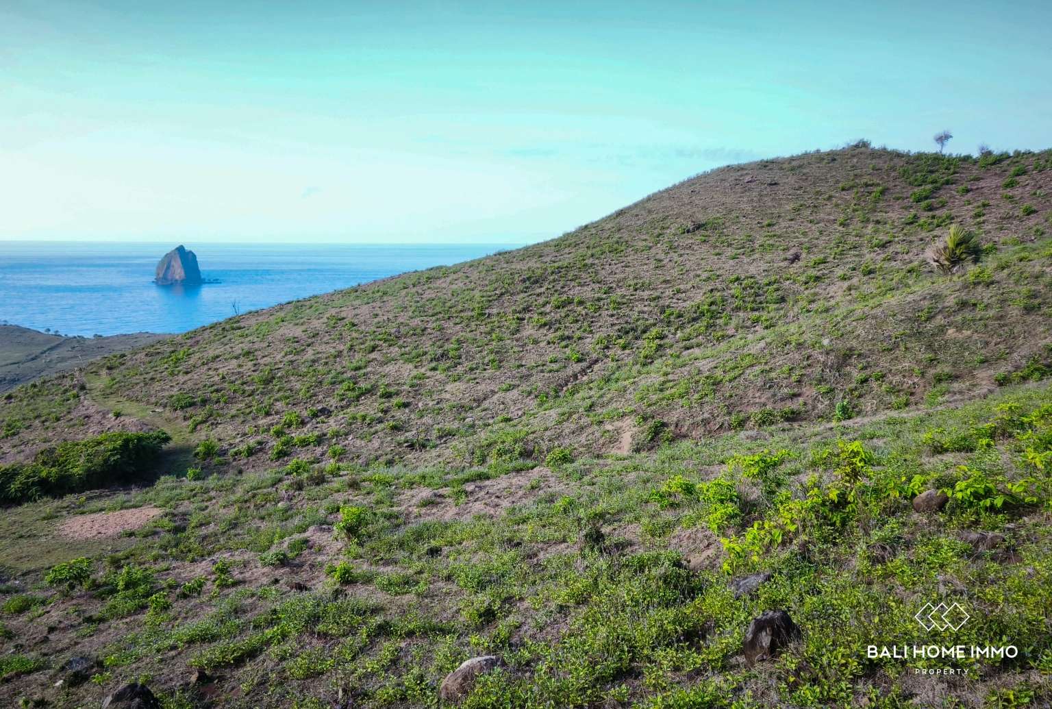 EXPANSIVE LAND FOR SALE IN LOMBOK view 3