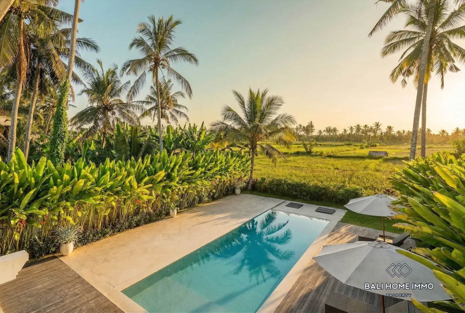 Magnifique villa moderne de 3 chambres avec vue panoramique sur les rizières à vendre à Ubud view 23