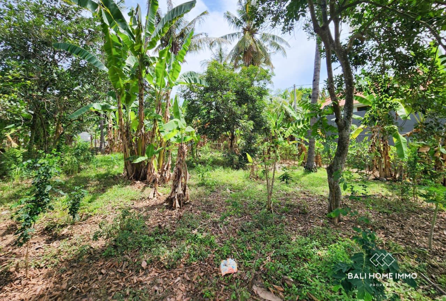 Freehold 2 Bedroom & 1 Bedroom Villas with Vacant Land for Development in Lovina view 13