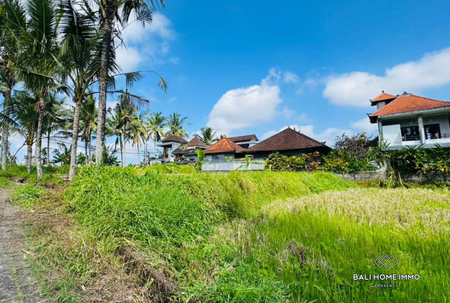 Land For Sale in Laplapan Ubud view 8