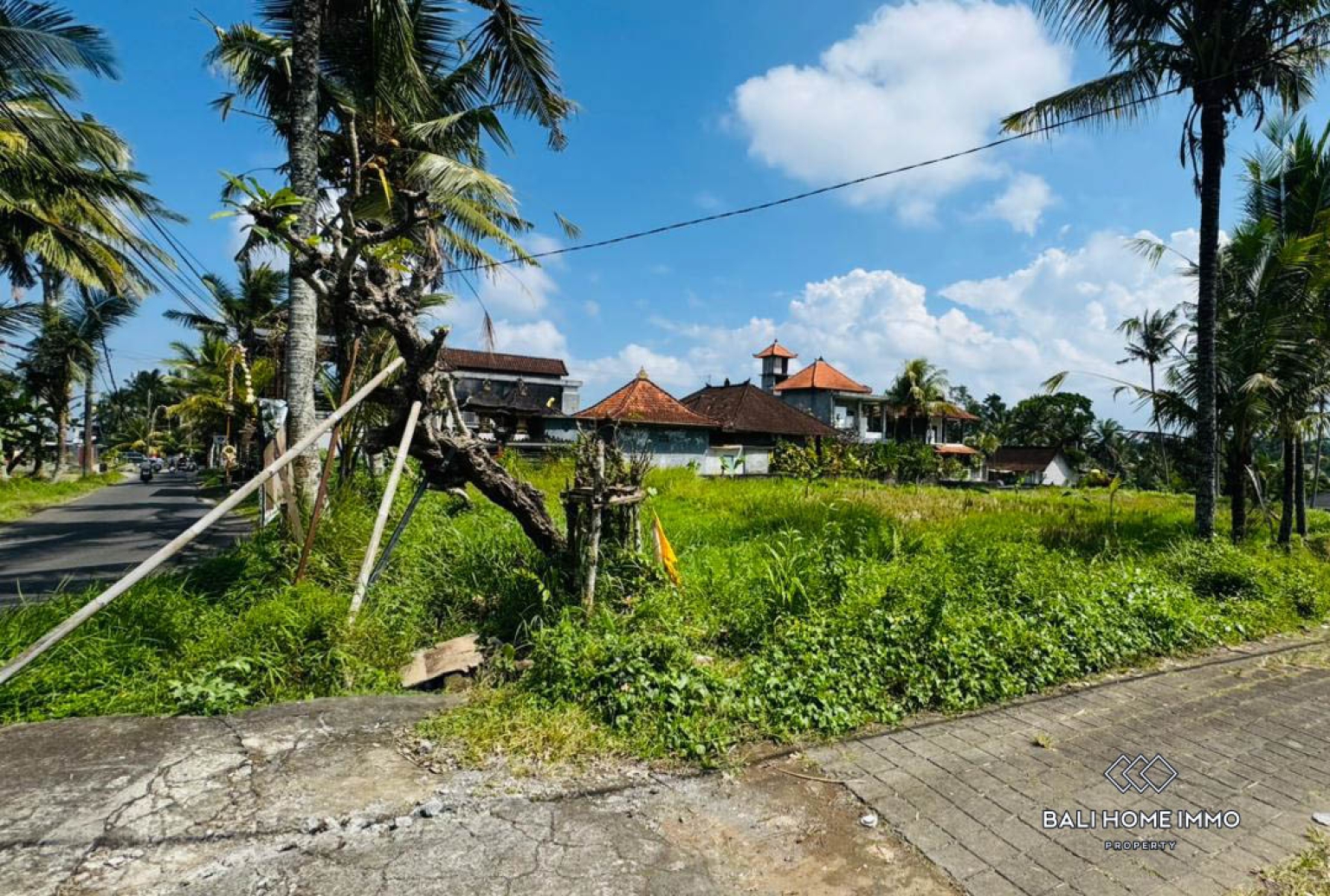Land For Sale in Laplapan Ubud view 15