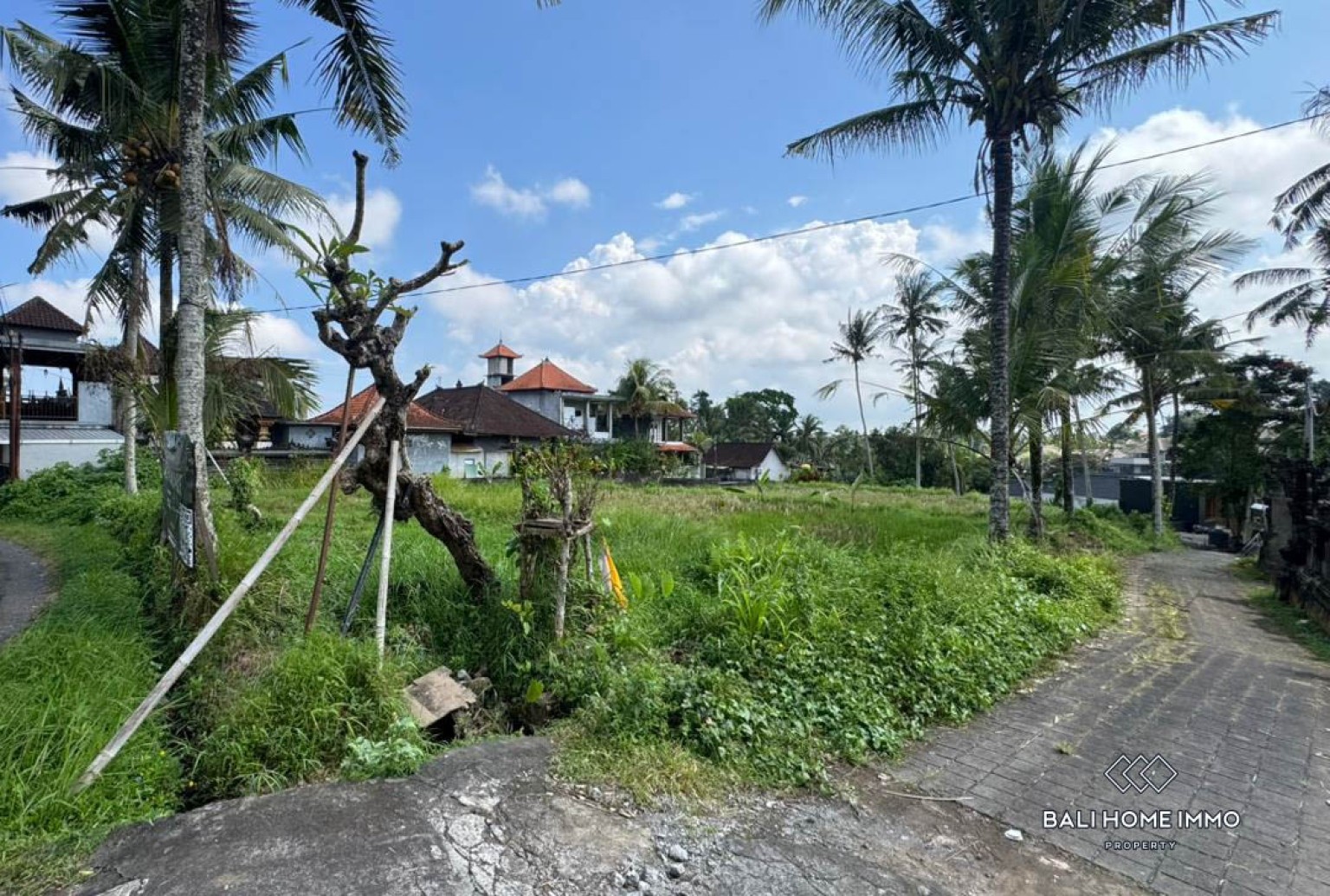 Land For Sale in Laplapan Ubud view 10