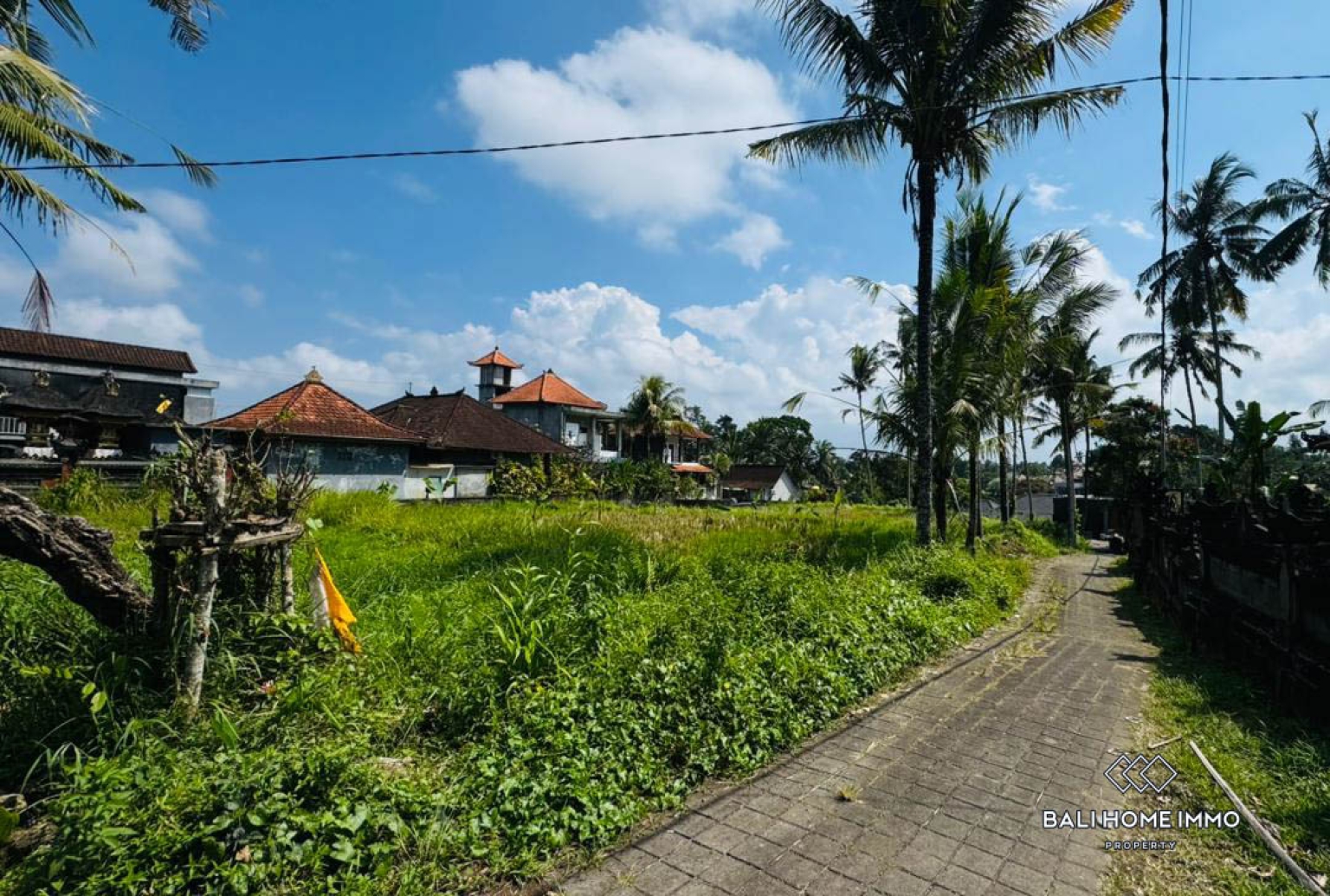 Land For Sale in Laplapan Ubud view 13