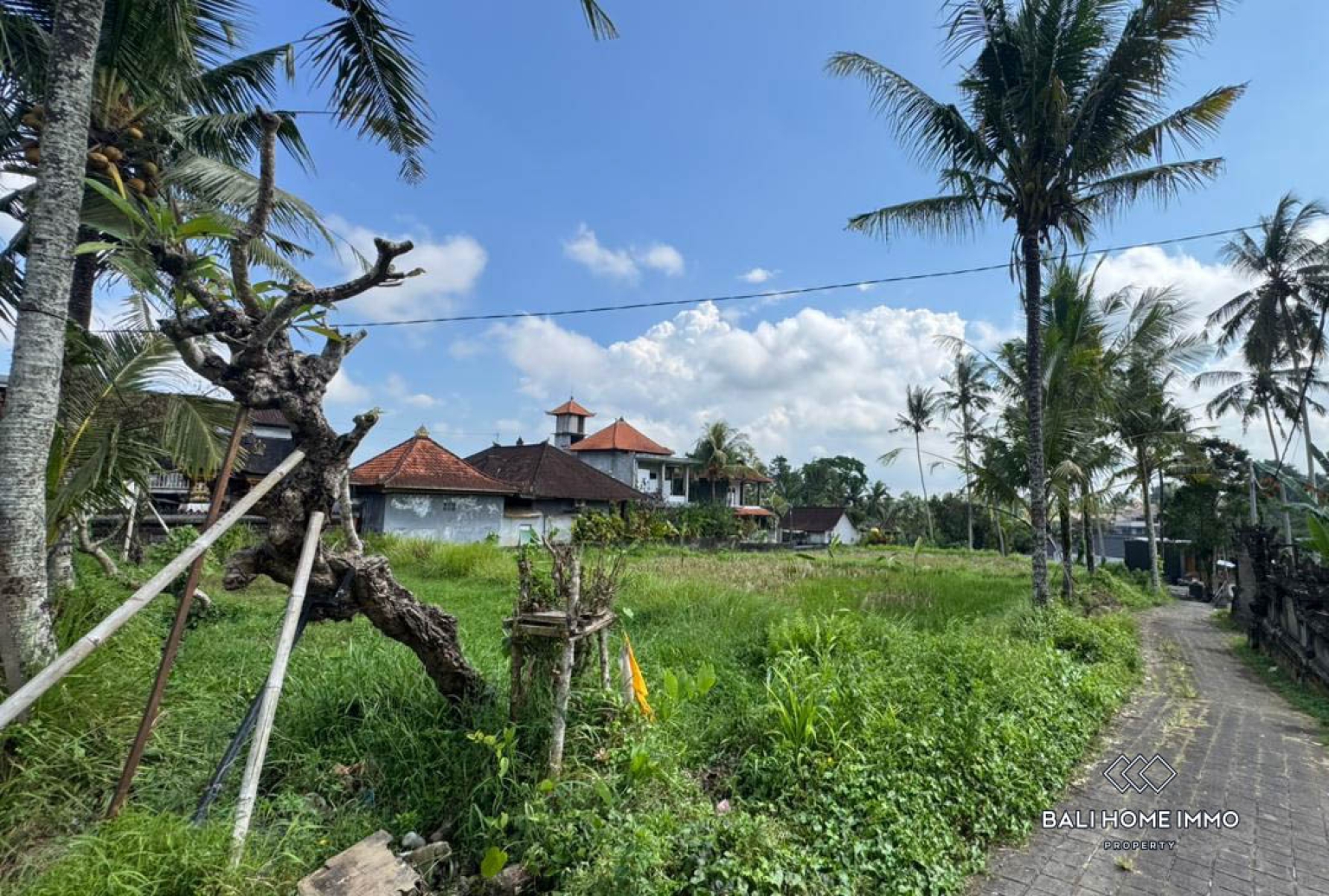 Land For Sale in Laplapan Ubud view 12