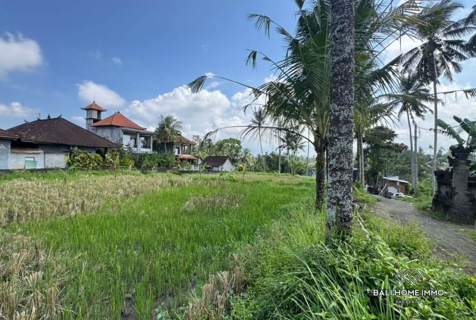Land For Sale in Laplapan Ubud view 9