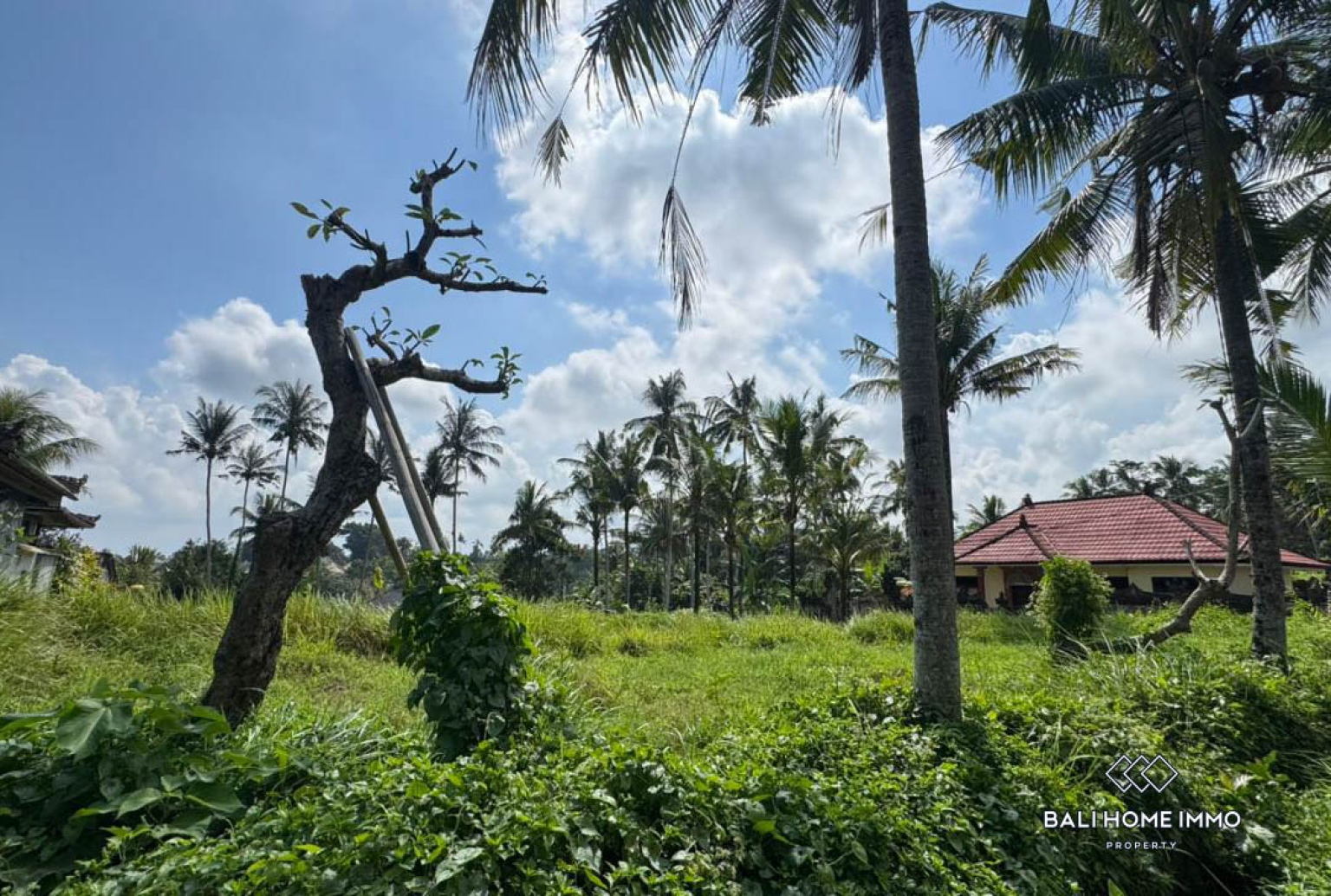 Land For Sale in Laplapan Ubud view 7