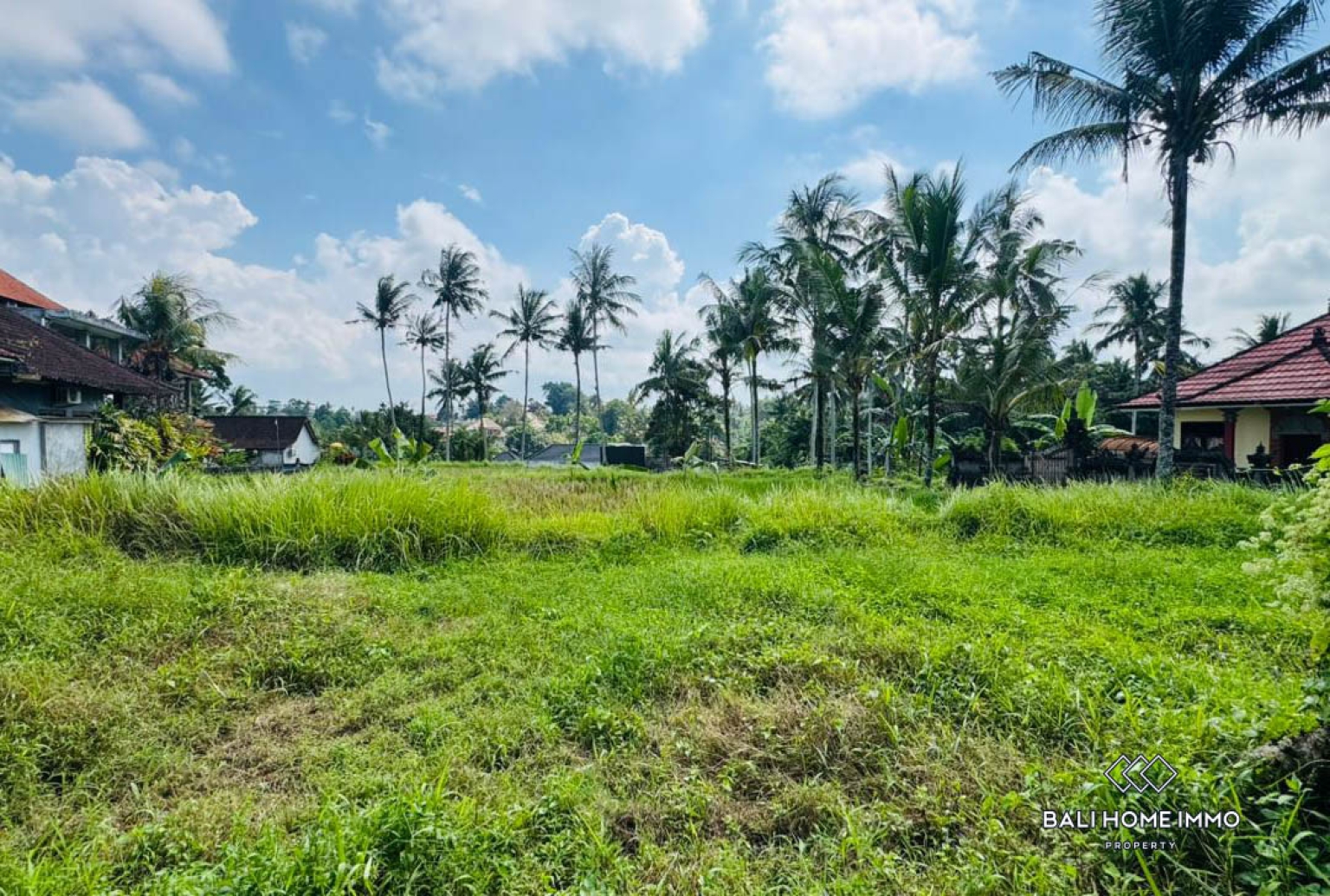Land For Sale in Laplapan Ubud view 4