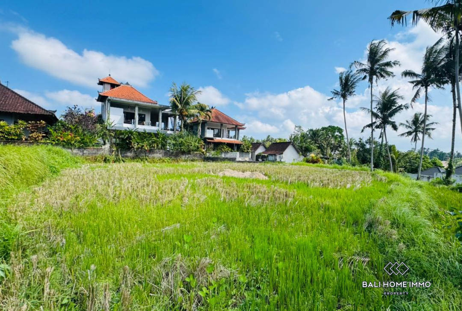 Land For Sale in Laplapan Ubud view 2