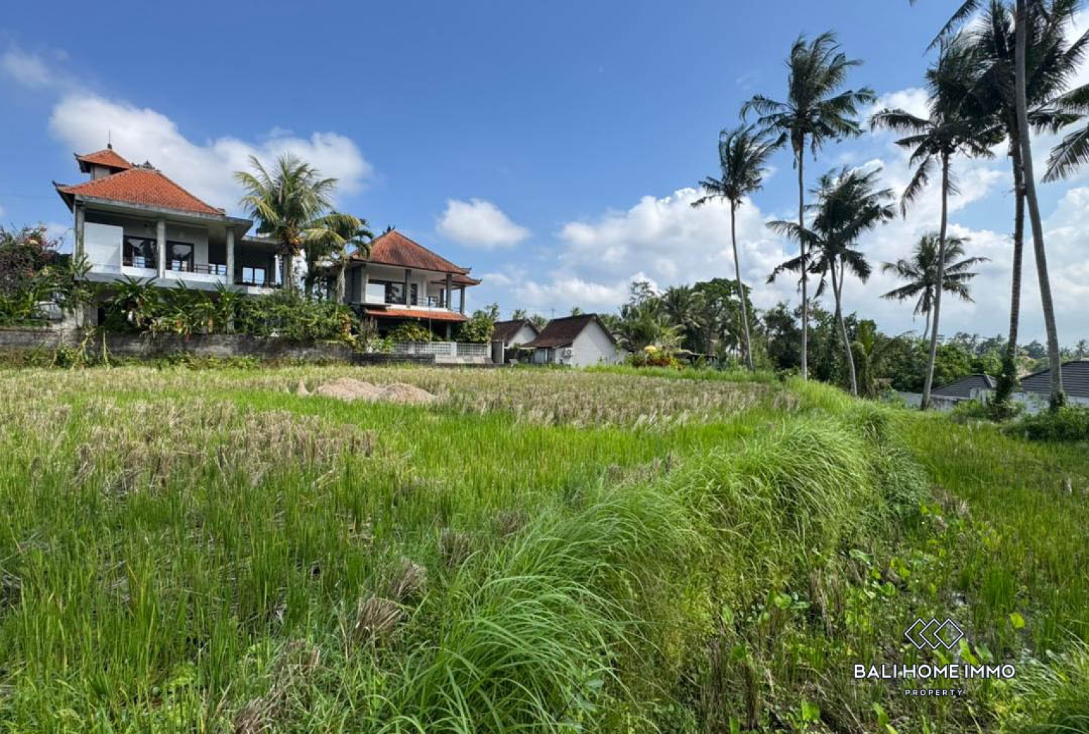 Land For Sale in Laplapan Ubud view 6