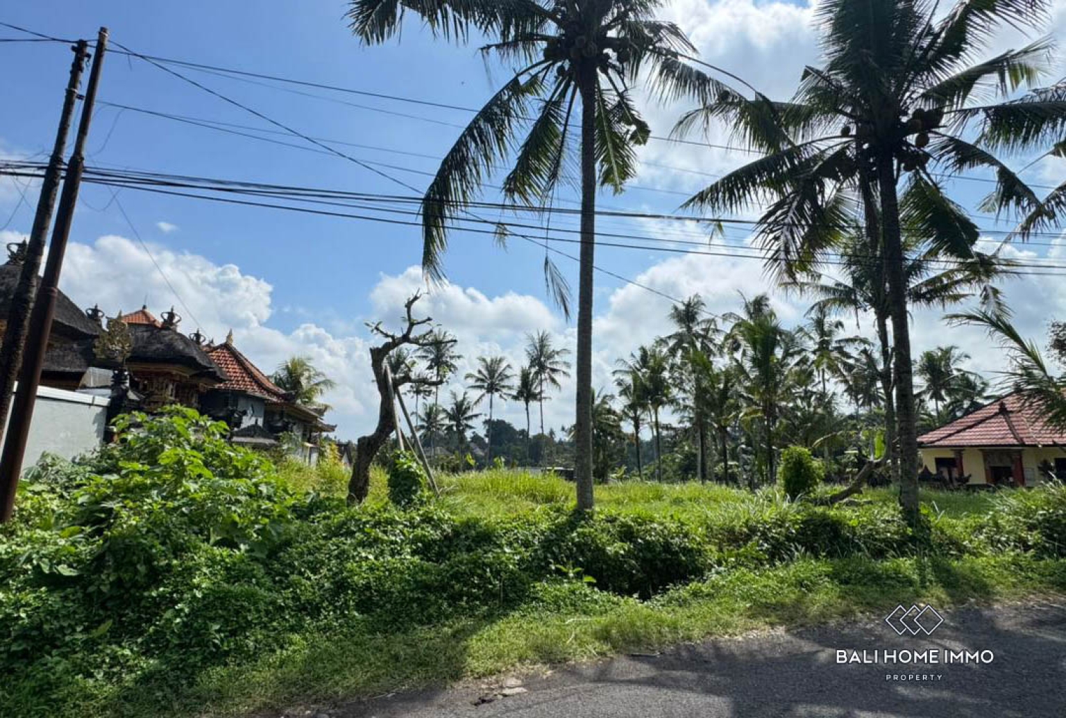 Land For Sale in Laplapan Ubud view 11