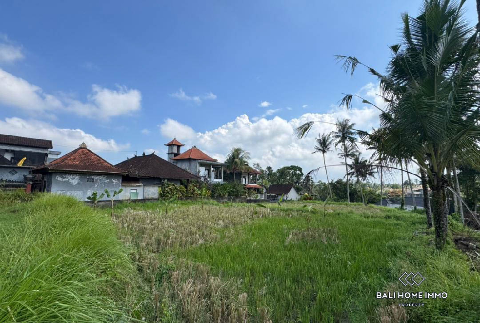 Land For Sale in Laplapan Ubud view 3