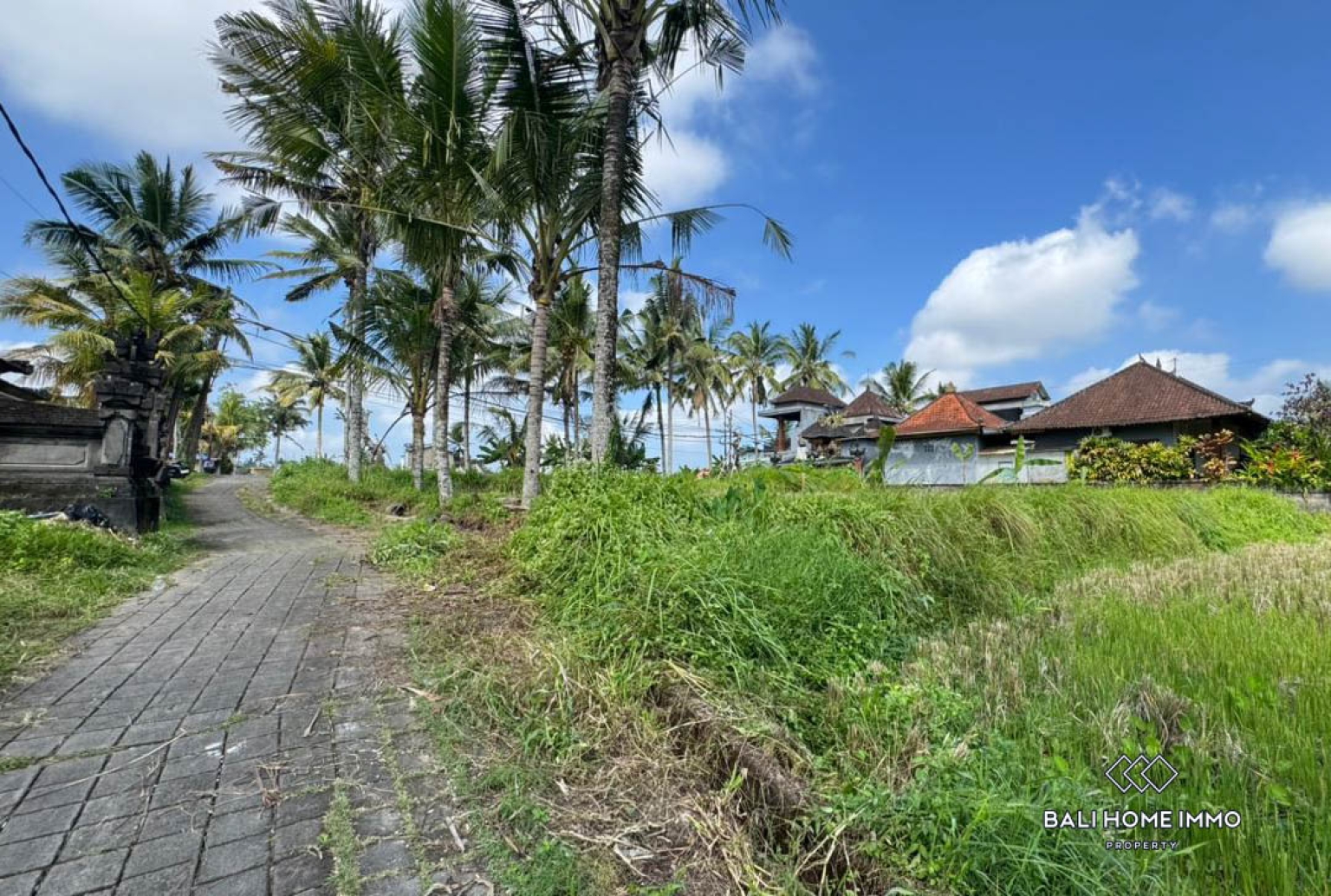 Land For Sale in Laplapan Ubud view 14