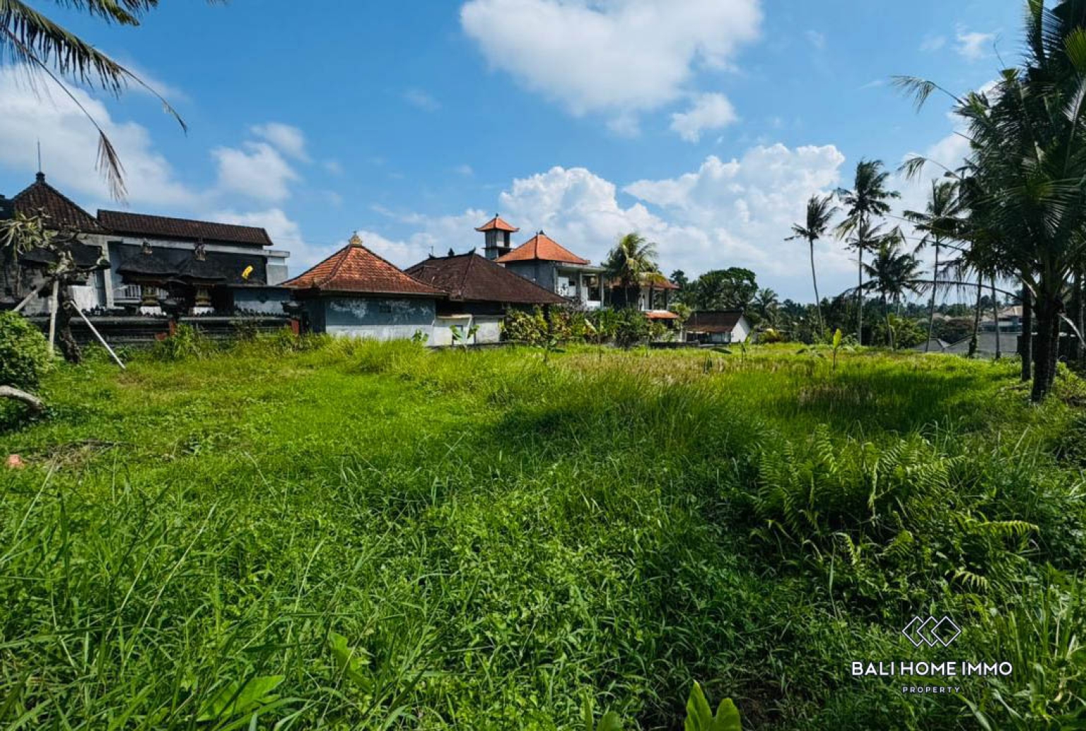 Land For Sale in Laplapan Ubud view 5