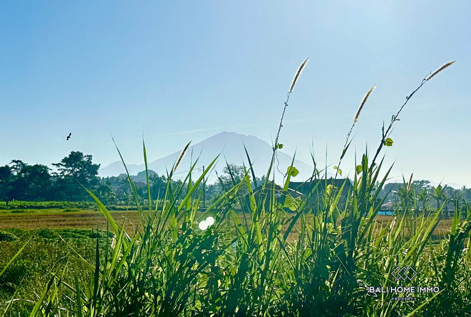 Luxurious 4 bedroom Villa with Stunning Rice Field & Mountain Views in Singapadu view 18