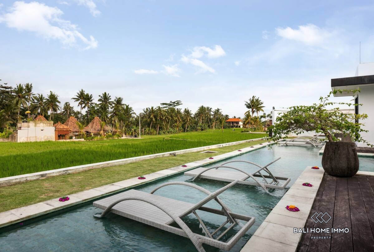 Modern 3-Bedrooms Villa With Ricefield View For Sale in Pejeng Ubud view 22