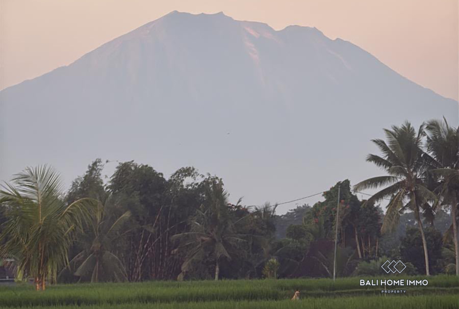 Brand new modern 3 Bedrooms villa with ricefield view in Bali Ubud view 17