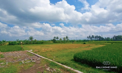 Image 2 from Land For Sale Freehold In Tanah Lot