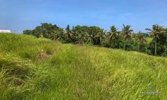 Image 1 from Land With Ricefield View For Sale in Tanah Lot Area