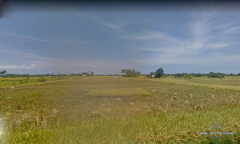 Image 1 from Land with Ricefield View For Sale Leasehold in Nyanyi